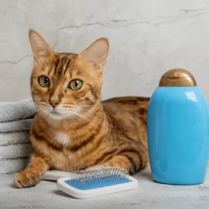 Cat Grooming Kit (Shampoo + Brush)