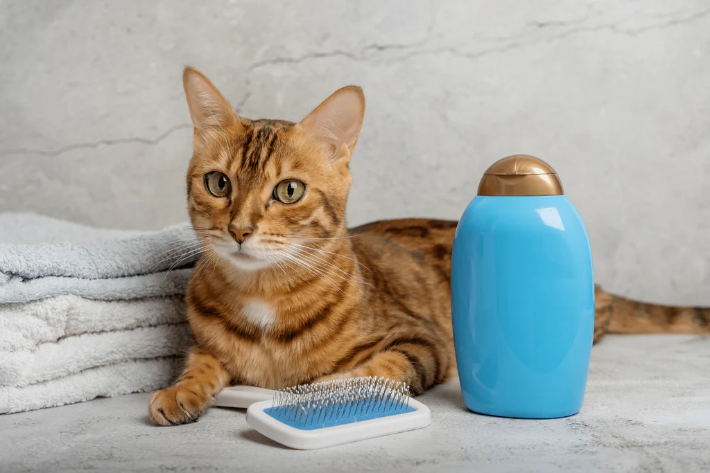 Cat Grooming Kit (Shampoo + Brush)